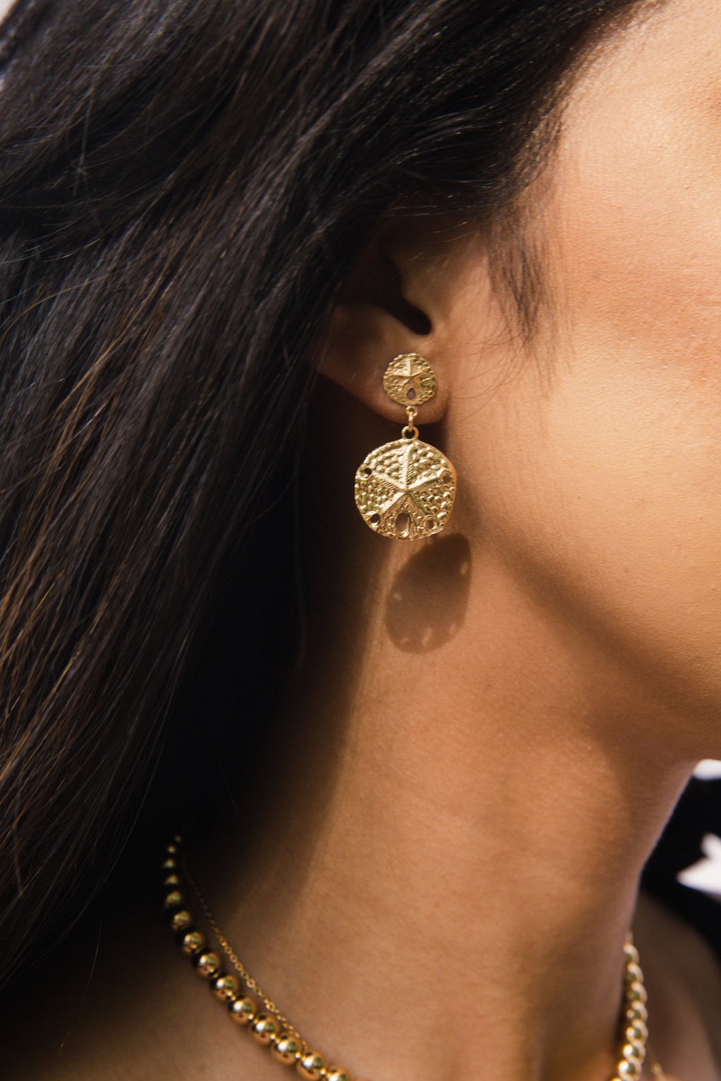 Sand Dollar Earrings