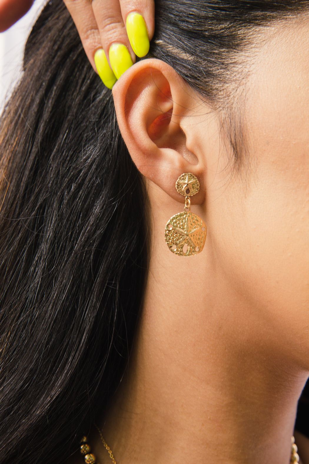 Sand Dollar Earrings